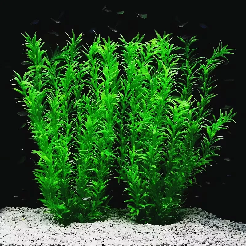 Thumbnail 3 - #70 Best Decorative Aquarium Plants to Buy In 2026