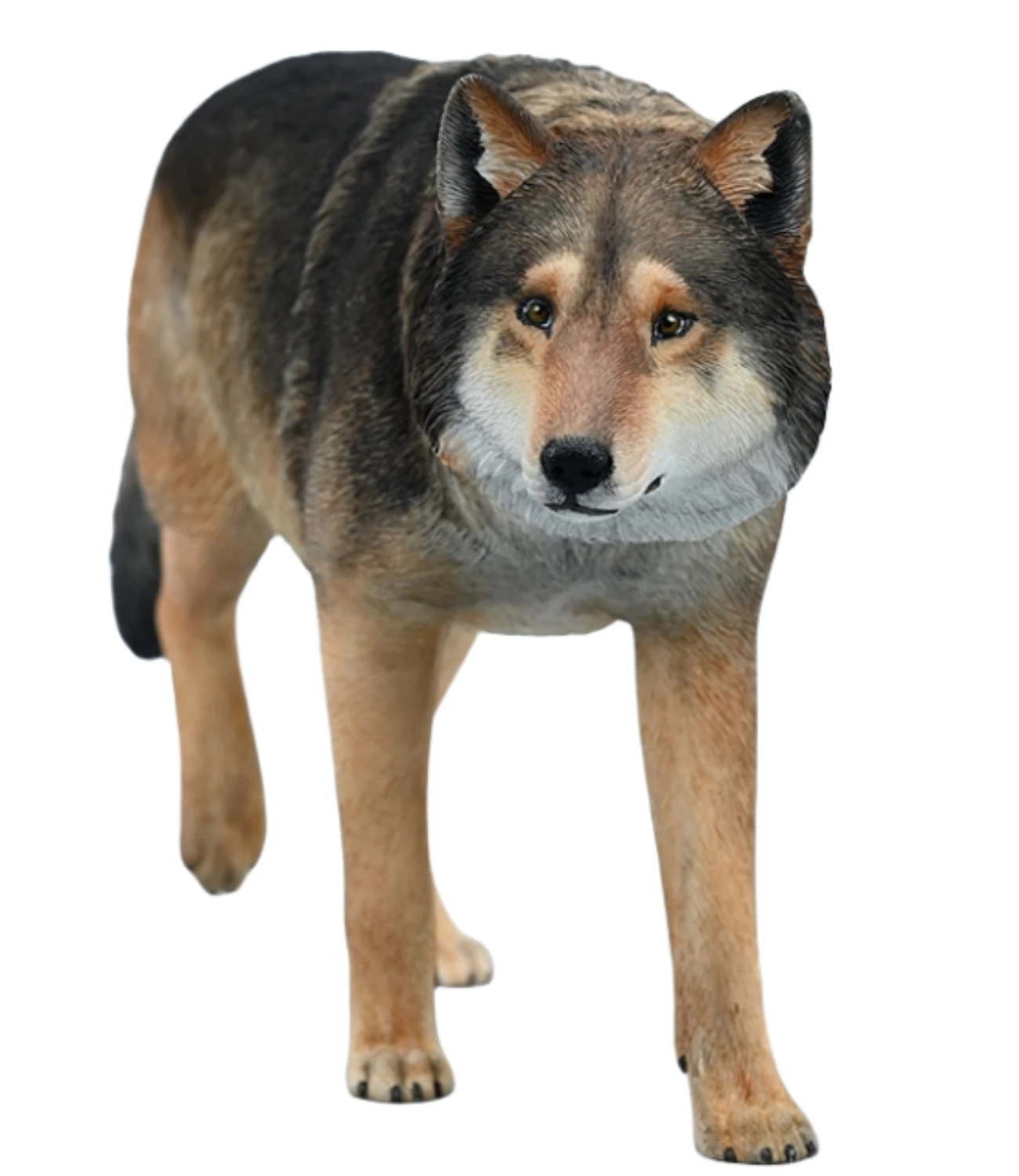 

HiPlay JXK Wolf Common Gray Wolf Expertly Hand-Painted Lifelike Safe Resin 1:6 Animal Figurine
