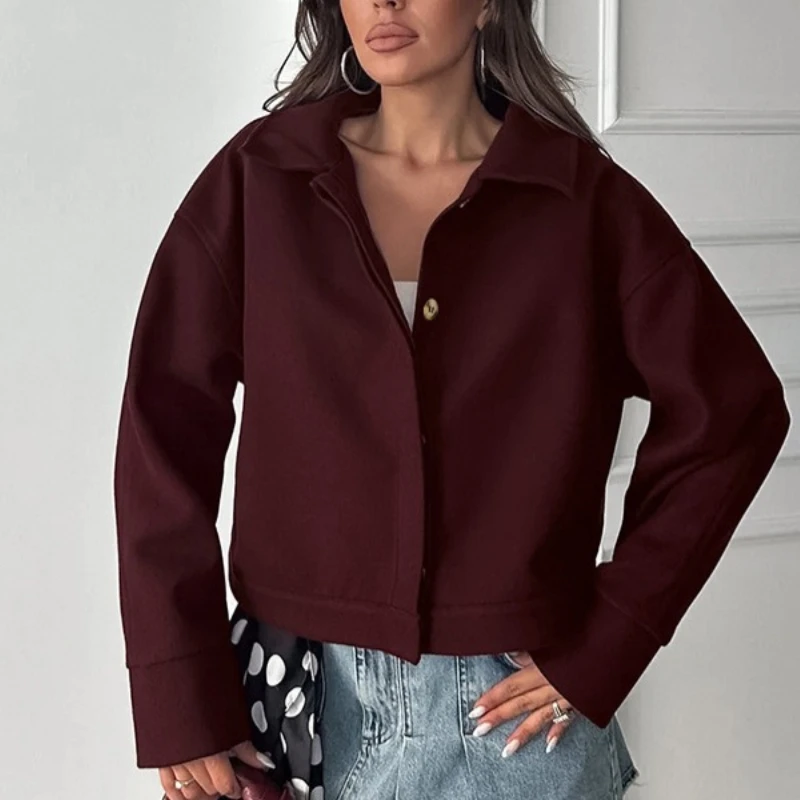 2026 Spring New Style Atmosphere and Temperament Simple Commuter Collar Zipper Woolen Short Coat