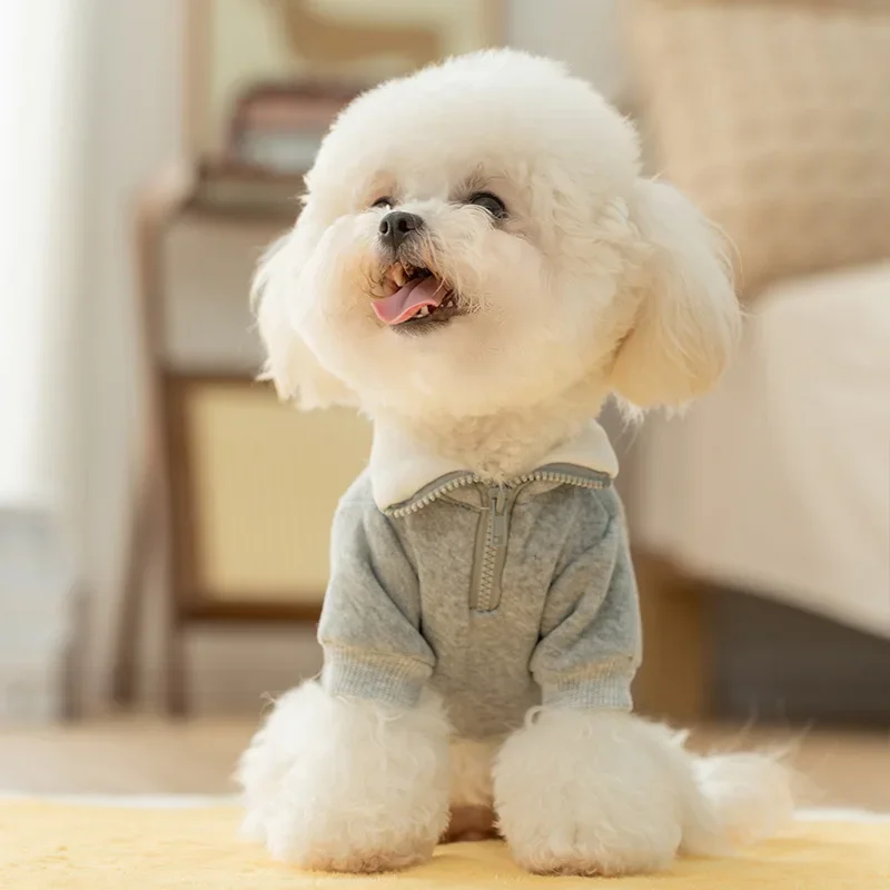 Autumn Winter Plush Collar Hoodie Small Dog Simple Two Leg Hoodie Small Medium Sized Dog Teddy Color Contrasting Pet Clothes