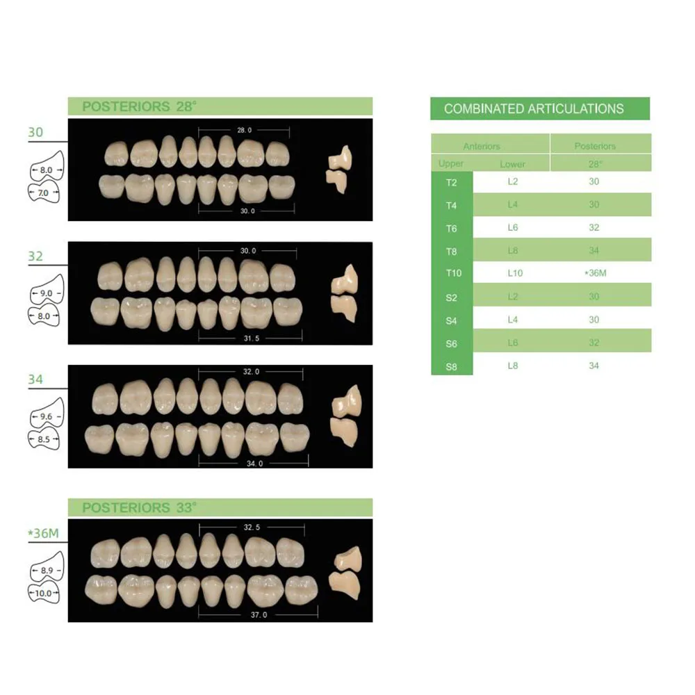 4/12/16sets /box Dental Resin Teeth Posterior Anterior Full Mouth Denture Teeth Large Size 2 Layers Economical Teeth