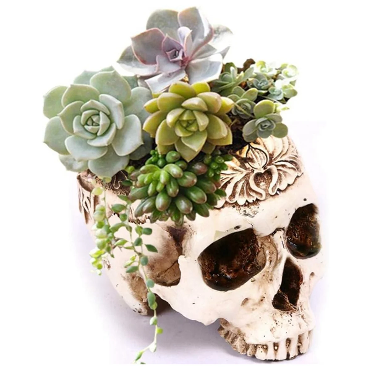 Resin Skull Planter Flower Succulents Pot Carved Skeleton Flowerpot Sugar Cactus Planter Pots Holder Candy Bowl