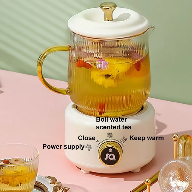 220V Multifunctional Health Pot Mini Portable 2 Gear Temperature Adjust Flower Teapot Office Electric Stew Cup Keep Warm Kettle