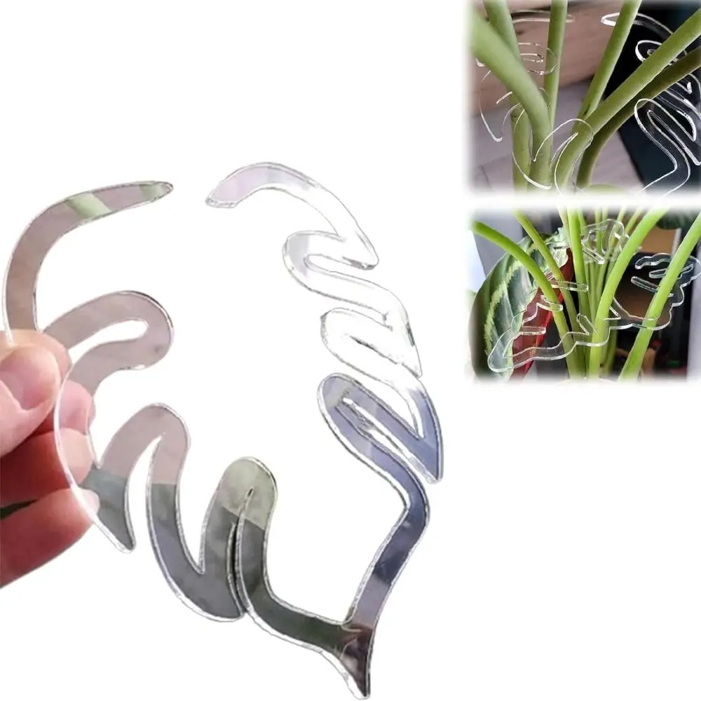 Reusable Turtle Shell Bamboo Clamp Plastic Clear Plant Stem Support Holder Support Branches Stem Organizer