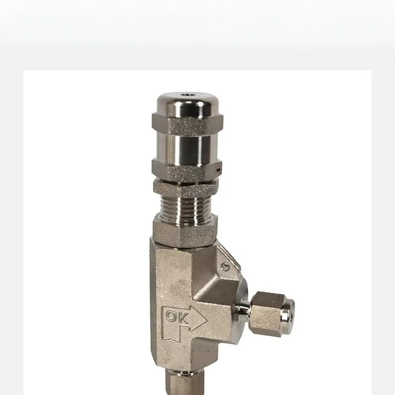 Safety valve supplier OEM 316SS burner safety gas valve