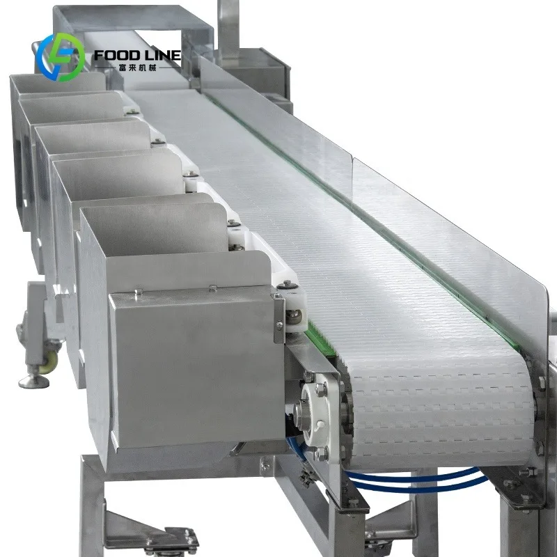 Customized Automatic Fish Sorting Machine High Speed Weight Sorter Durable Stainless Steel Equipment for Fish Processing