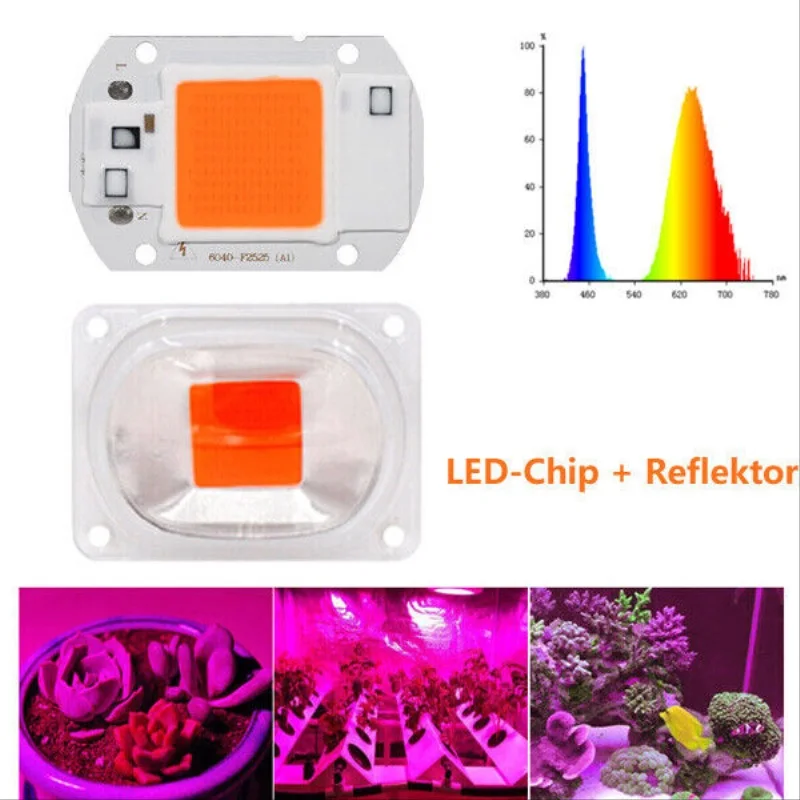 Puce de croissance de plantes LED COB à spectre complet, avec réflecteur à lentille, 50W 30W 20W 220V 240V, lampe d'extérieur à monter soi-même