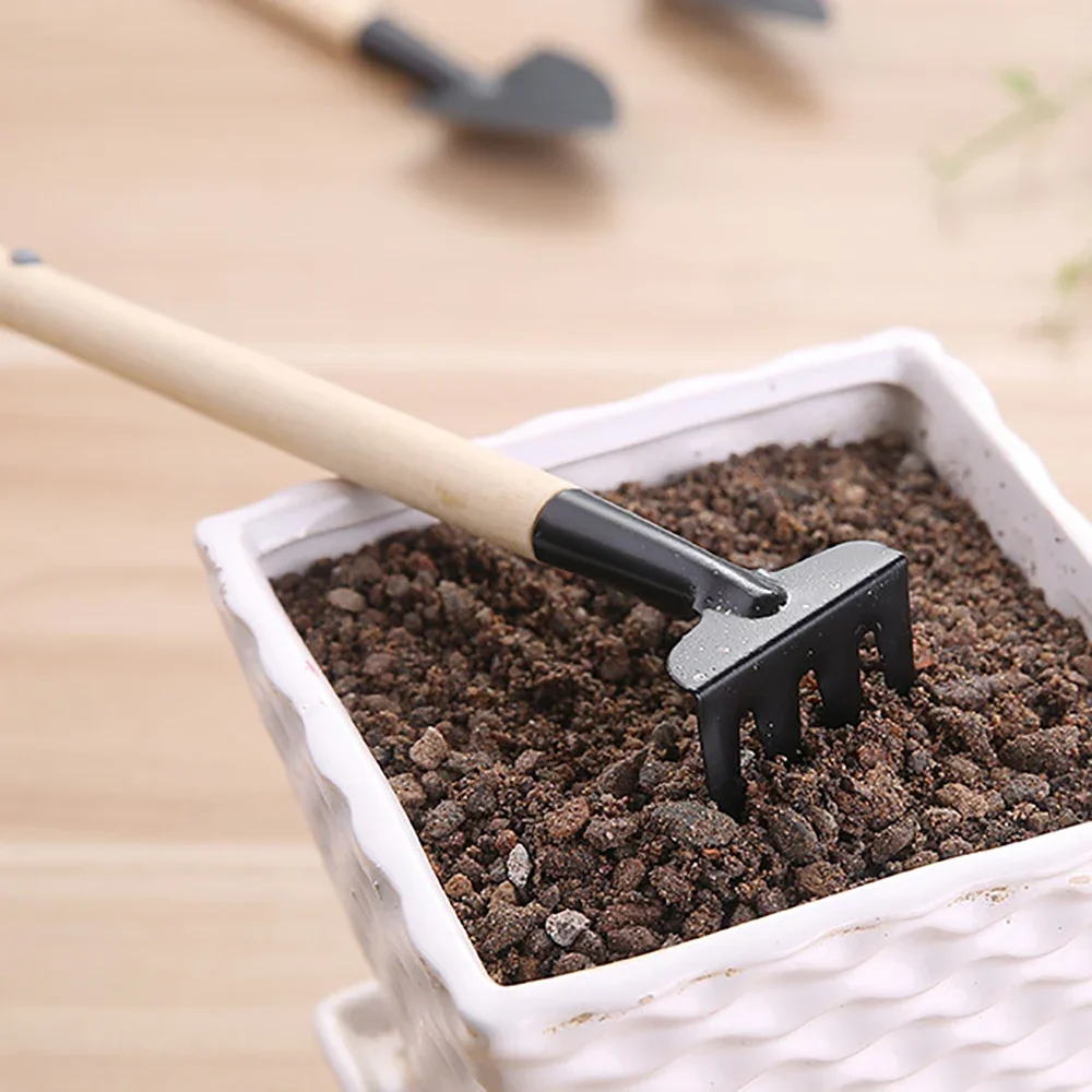 

Mini Cultivating Transplanting Kit, Plants Seedling, Succulent, Transplanter, Shovel, Rake, Spade, Drilling Fertilize, Garden