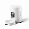 White Button Model