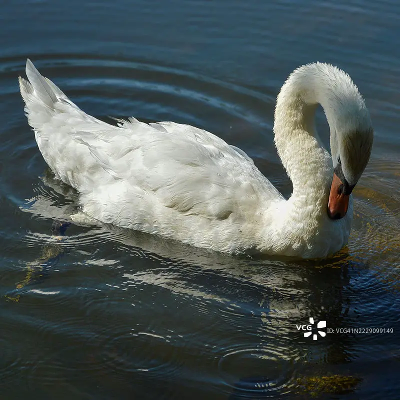 

Flywoo GOKU F722 Pro Mini V2 45A 32Bit 128K 20X20 Stack Plug&Play O4 / O4 Pro for fpv drone diy parts