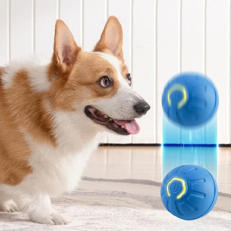 Balls for Dogs Pet Pool Cat Toy Stuff Dog Ball Moving Bounce Moving Ball Household Supplies Pet Dog Accessories USB Toy Supplies