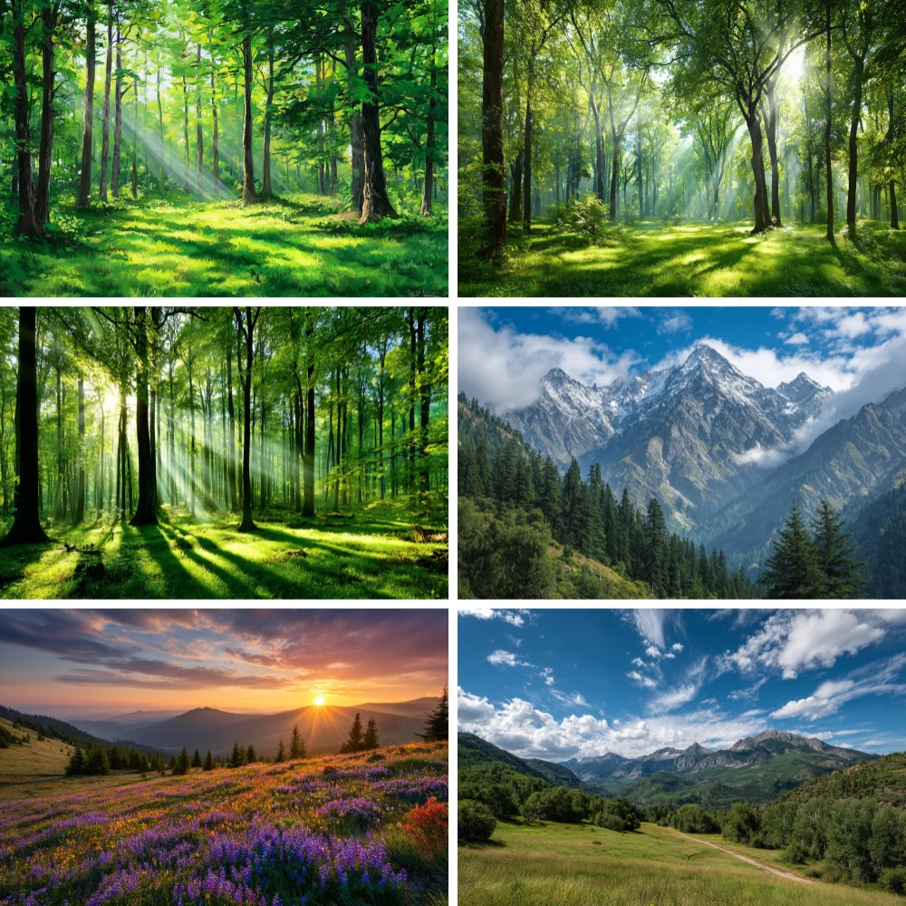 Summer Forest Backdrop Tropical Jungle Rainforest Backdrops for Photography Camping Adventure Birthday Background Photo Studio