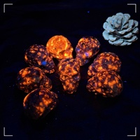 35mm Natural Flame Stone Skull Quartz Crystal Skull Carving Decorative Statue Home Decoration Collection Witchcraft Gift