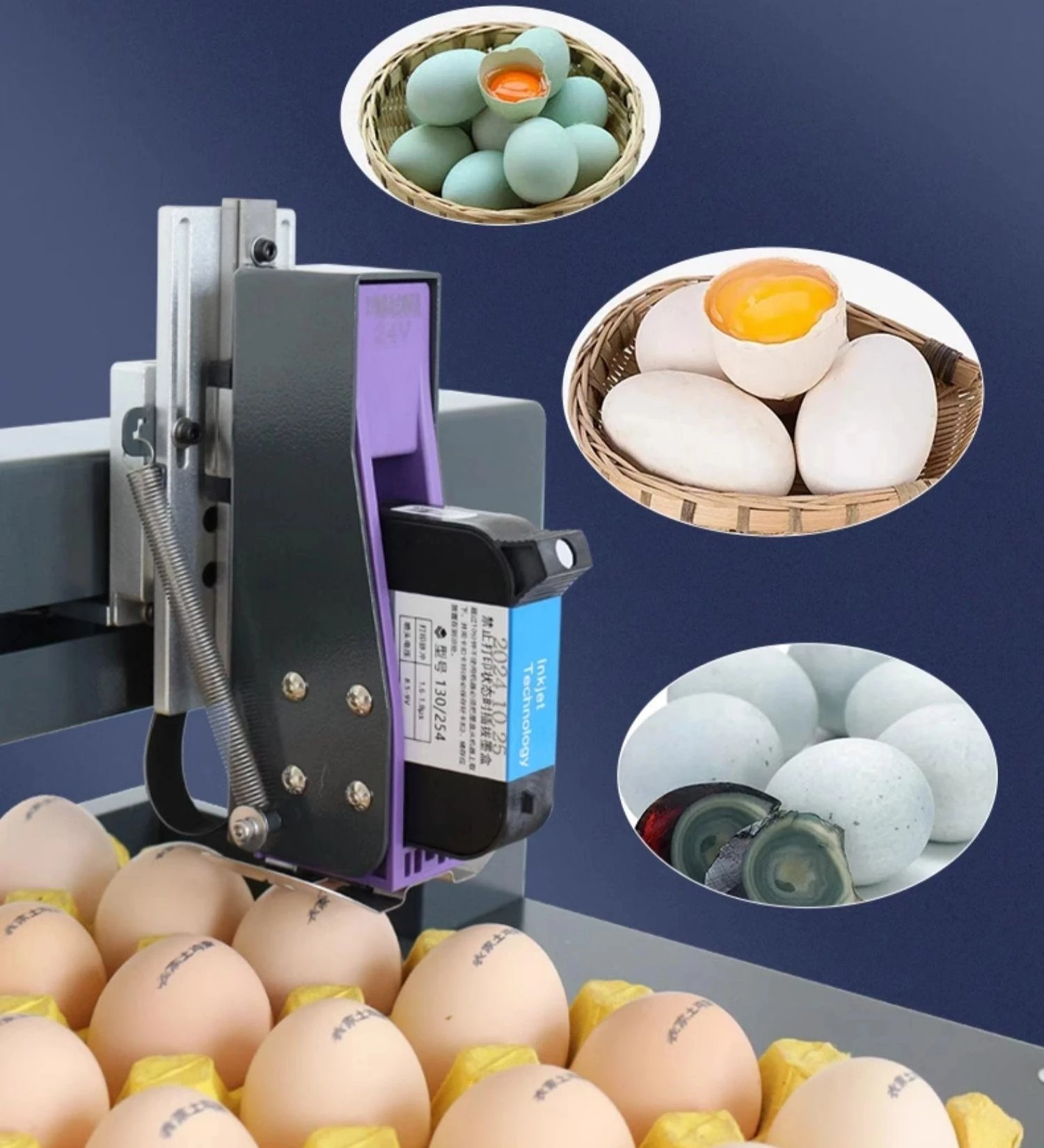 DP1-150-600 Inkjet Egg Marking Machine Screen Model Expiry Date/Batch/Logo Printer for Eggshells Poultry Farm Food Industry