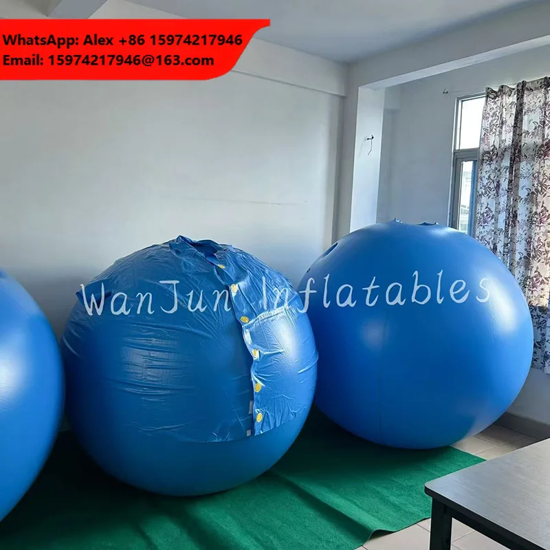 2024 Hot Sale High Quality Pvc Inflatable Ball Suit Inflatable Blueberry Ball Suit For Fun