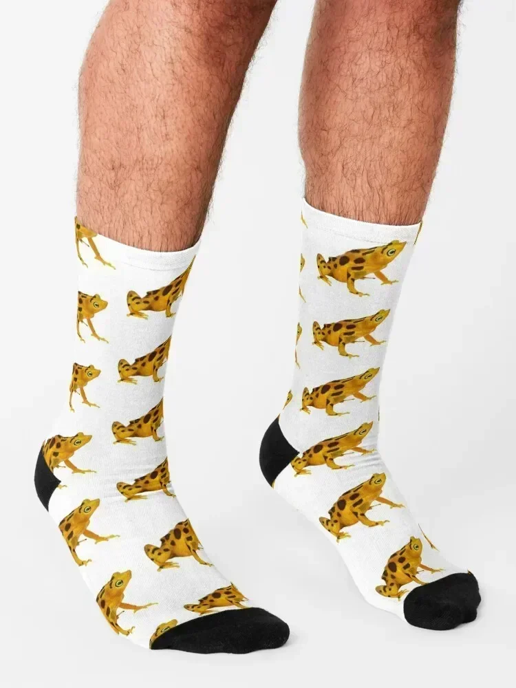 Panamanian Golden Frog (Atelopus zeteki) Socks crazy FASHION Run sports stockings Socks Women Men's