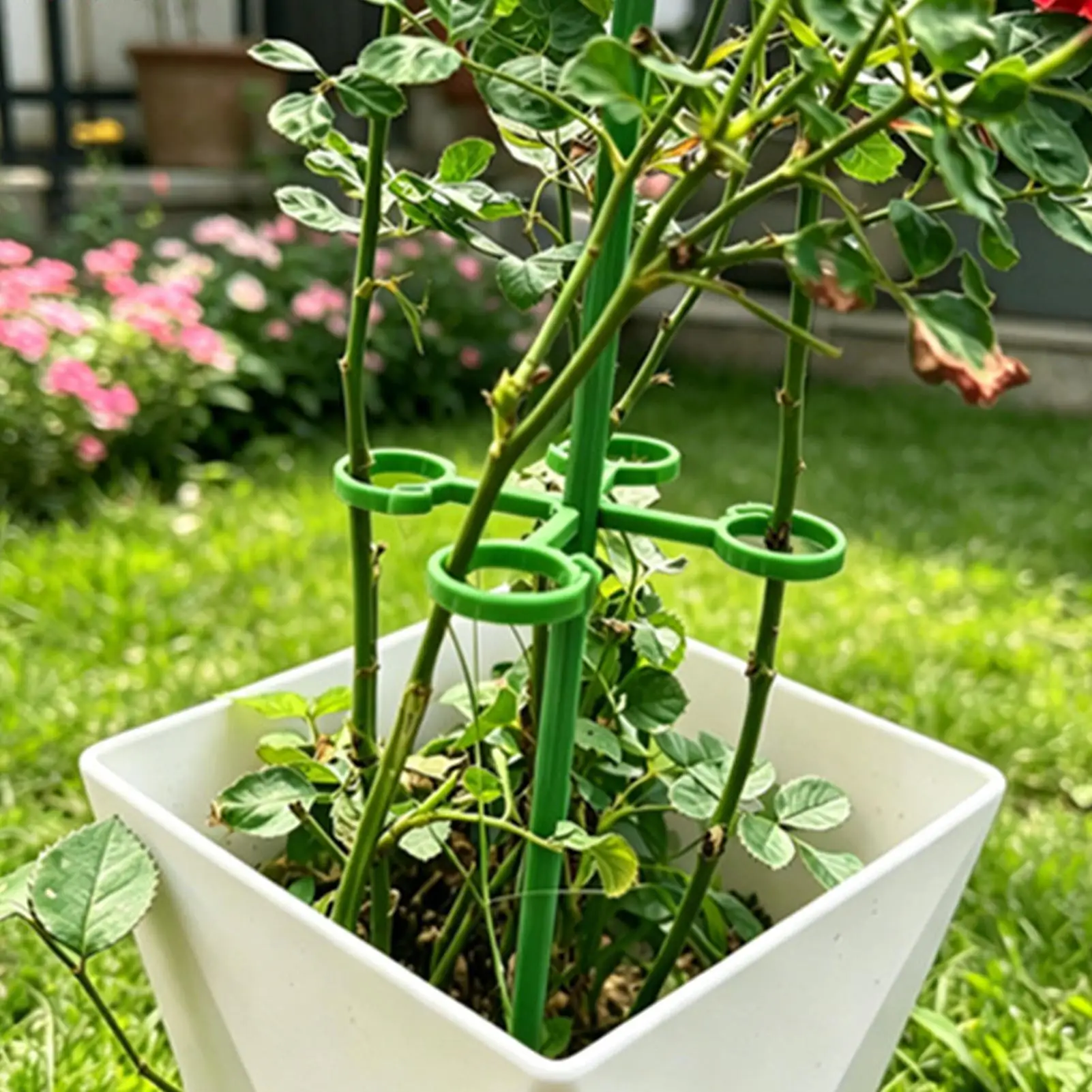 Green Plant Supports Stakes Sticks Support Reusable Plant Anti Lodging Bracket Potted Single Vine Stem Fixing Rod Holder Trellis