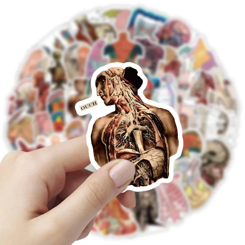 53PCS Human Anatomy Organ Creative Funny Guitar Refrigerator Luggage Notebook Decoration Student Study Sticker