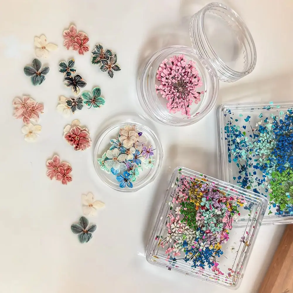 1Box Fresh Natural Dried Flowers Nail Art Decorations Vintage Multi-Color Mini Floral Nail Decor Wildflower Petal Nail Supplies*