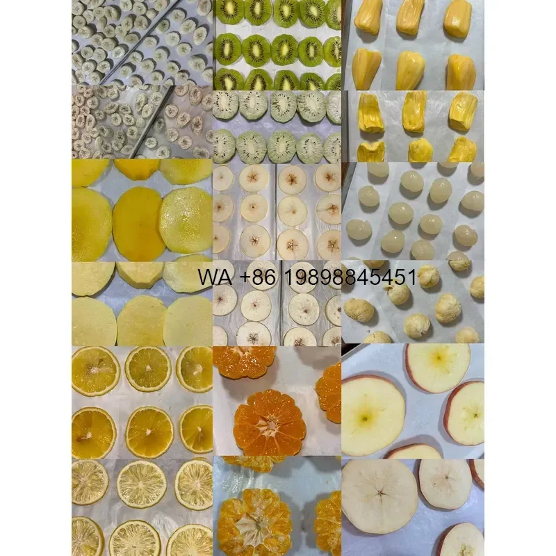 Wmwmnu 4kg Freeze Dryer for Home Use Lyophilizer Food Preservation Equipment