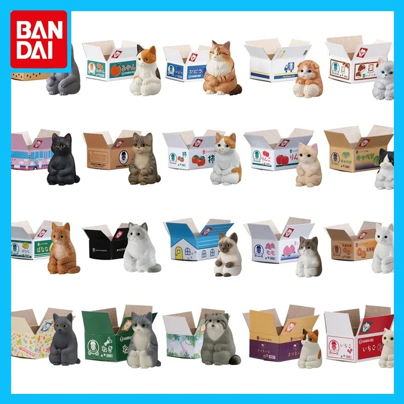 

Bandai Original Gashapon Pigeoned Anime Figure The Cat in The Box Action Figure Toys for Boys Girls Kids Gift Collectible