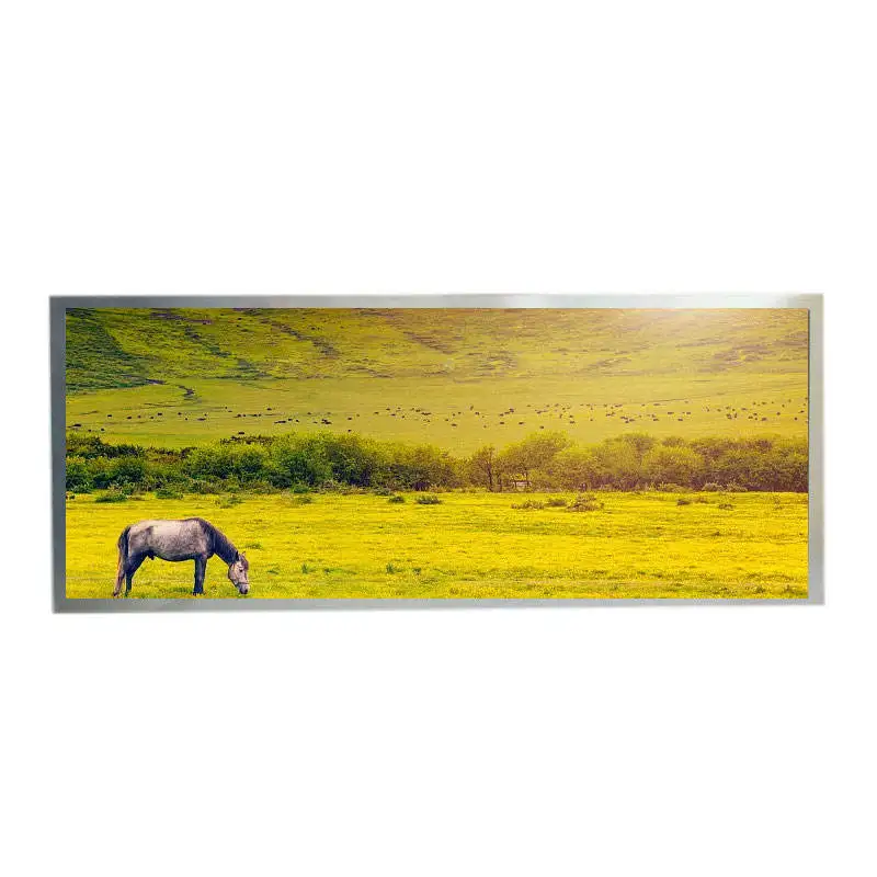 LQ123B5RW01 12.3 Inch Rsds 64 Pins Interface 1440X540 Tft Lcd Display Rgb Verticale Hoge Heldere Ffor Automotive Industriële