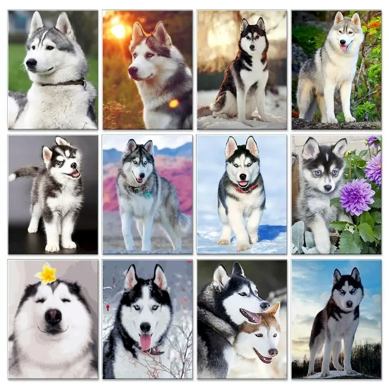 Gatyztory volle Diamant malerei Hund Tier "Husky" Harz Bohrer Stickerei Wohnkultur 5d DIY Diamant Malerei Kreuz stich