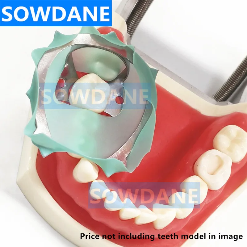 Nowy dentystyczny endodontyczny gumowy zacisk zaporowy gumowy z uchwyt ramki zaciskami z zaciskami do zębów trzonowych