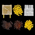 1set