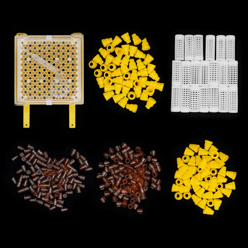 1set Queen Bee Rearing Kit Germany Jenter Queen Bee Cell Cups Larva Move Cage Breeding Beekeeping Supplies
