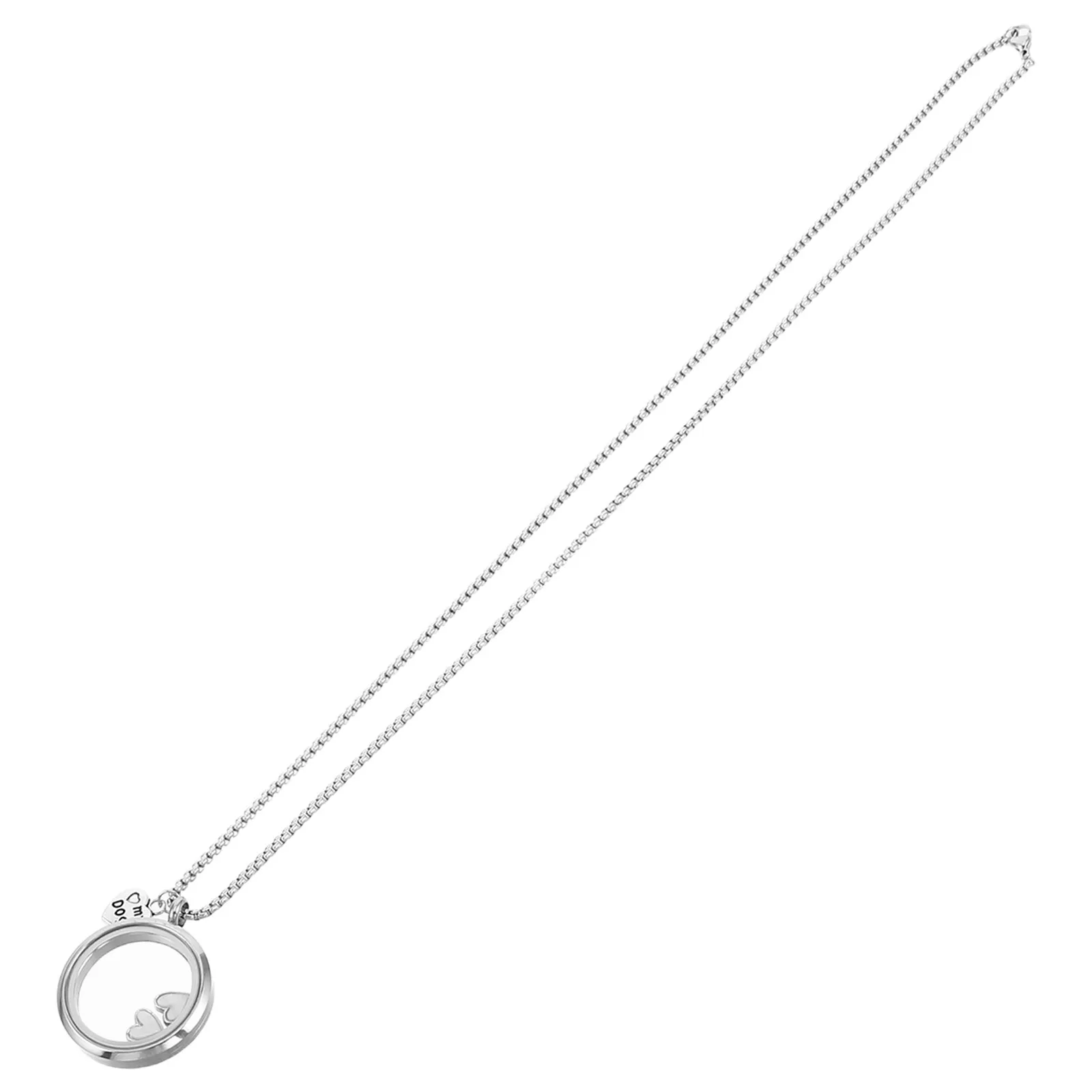 Stainless Steel Pet Memorial Necklace with Transparent Glass Circle Pendant for Dog Hair Keepsake