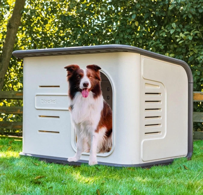 Modern Indoor Dog House And Spacious Outdoor Pet Shelter