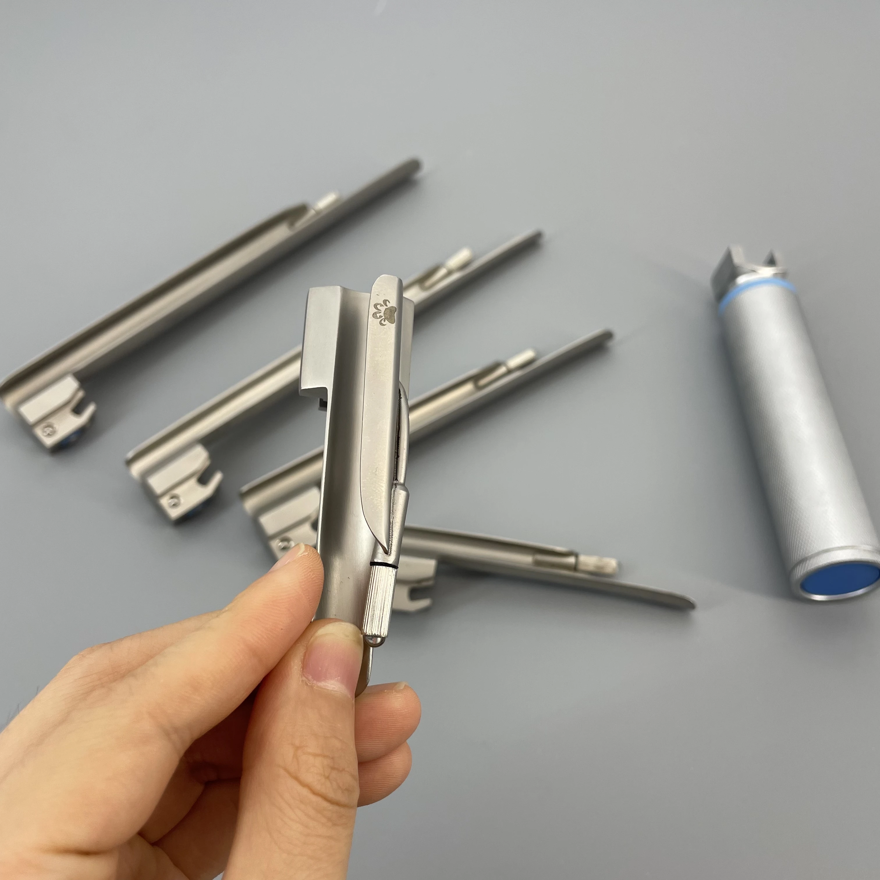 Animal , Stainless Steel LED Light Source, Veterinary Detection