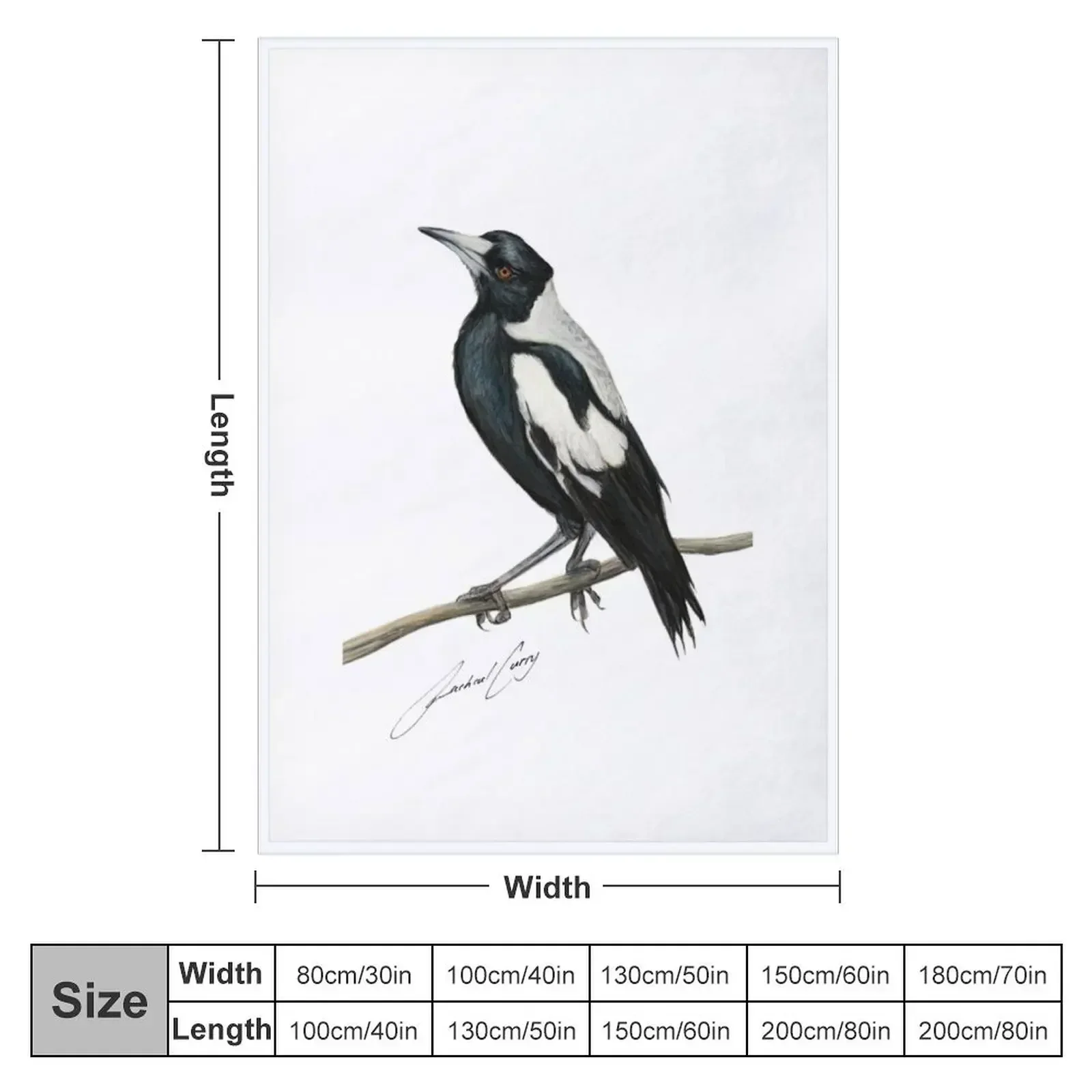 Magpie , Australian bird art with artists signature Throw Blanket