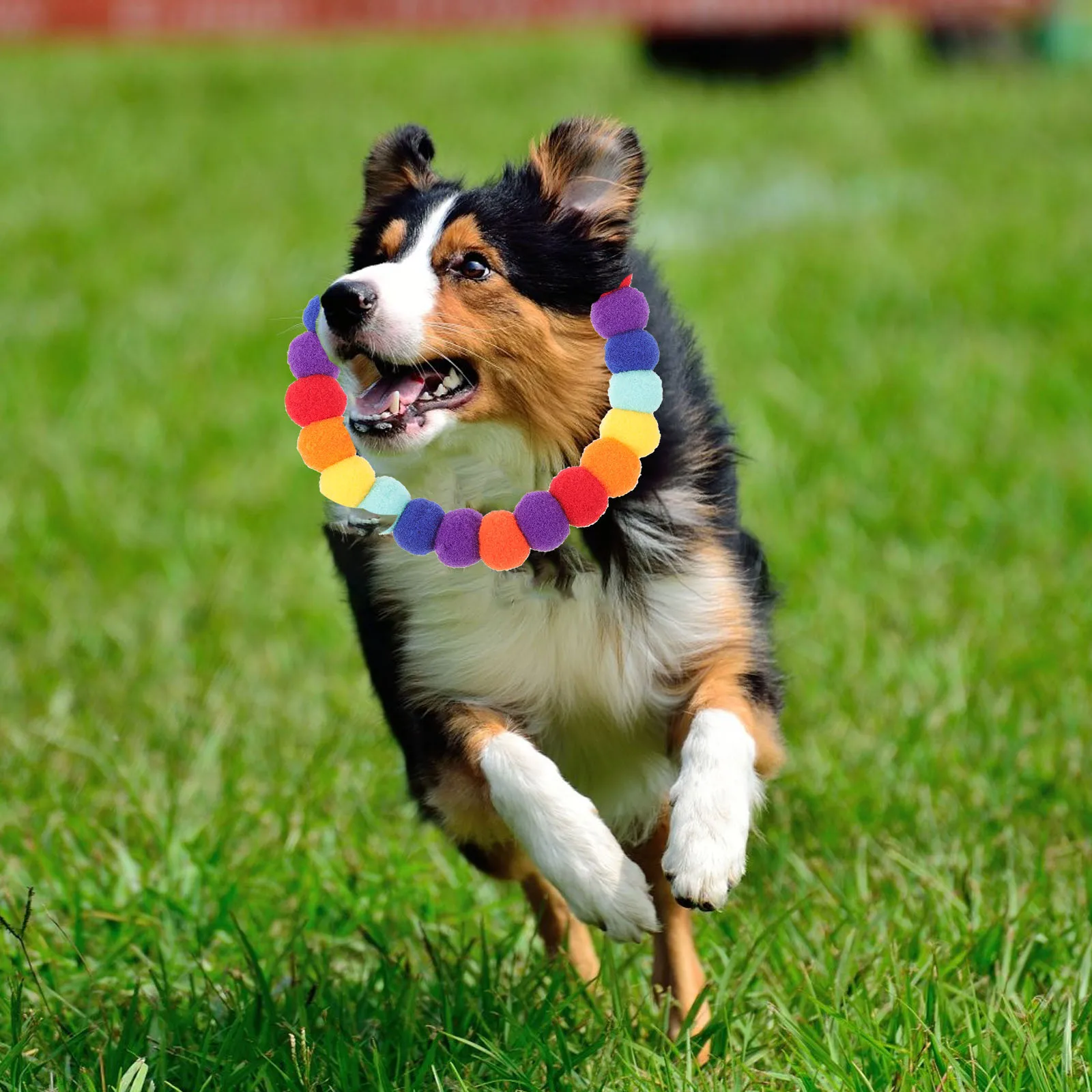 

Pet Necklace Collar for Dog Fashion Small Dogs Pendant Cat Collars Accessories Kitten Vacation