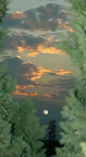 

2026 Wall Calendar Monthly Planner Marcus The Worm Funny Meme-Inspired Calendar Robert The Worm Hanging Wall Calendar for Office