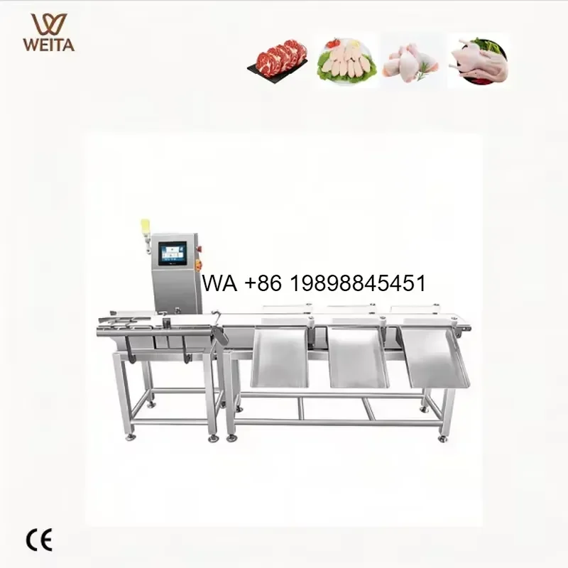 Wmwmnu for Aquatic Fish Seafood Weighing Size Sorting Fish Grader High Accuracy IP65 Protection 2-Year Warranty