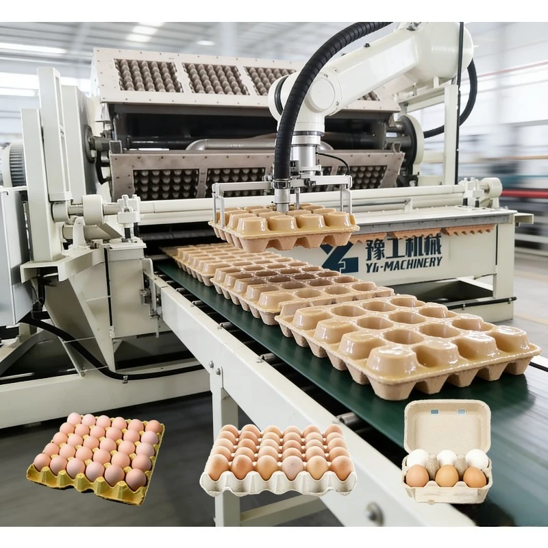 Waste Paper Recycling Full Automatic Egg Tray Machine Egg Tray Equipment