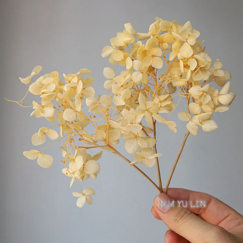 Anna Hydrangea Dry Flower Preserved Flower DIY Earrings and Scented Candles Material For Gutta Percha Resin Home Decor