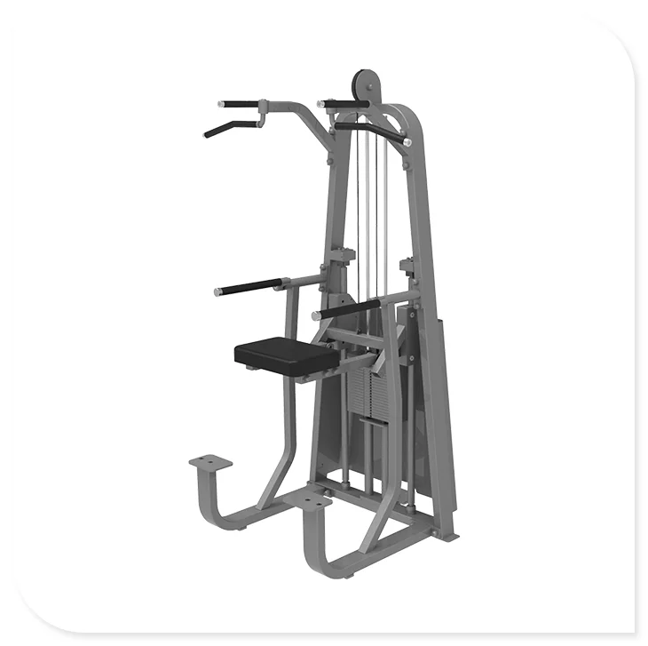 

LAND High Quality Commercial Gym Dip/Chin Assist Machine for Sale Pin Load Selection Equipment