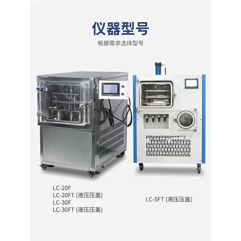 LC-20FT food protein powder in situ square warehouse freeze dryer