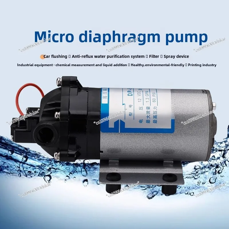 Original DP-60 Diaphragm Pump Diaphragm Booster Water Pump Cleaning Machine Booster Pump, High Pressure Diaphragm Pump