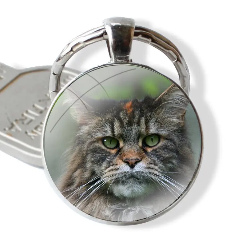 pet maine coon cat Keychain Handmade Glass Cabochon Key Ring Holder Pendant Key Chains