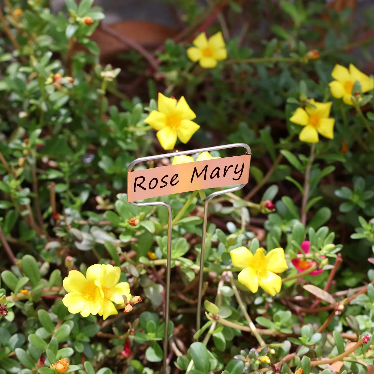 

-A65I 30 Pack 10 Inch High Copper Plate Metal Plant Labels Garden Stake Tags Reusable Planting Gardening Markers