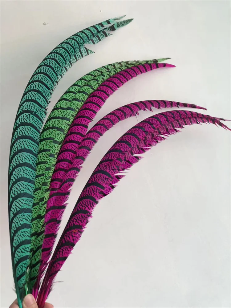 5PCS Hot Pink Dyed Zebra Pheasant Tail Feathers Natural Lady Amherst Pheasant Feather Plumes Carnival Backpieces Making Plumas