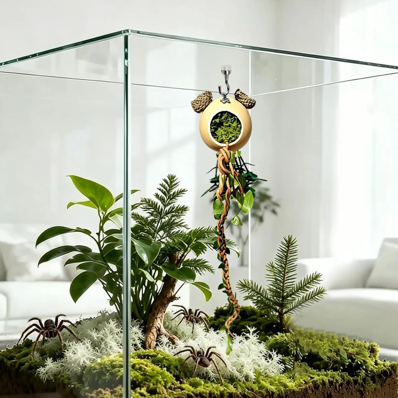 

Jumping Spider Accessories Reptile Cage Vines Jumping Spider Cage Climbing For Snakes Ball Pythons Chameleons Mantis Gecko