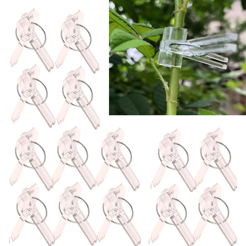 100Pcs 15x35MM Grafting Clips Vegetables Grafted Clamp Garden Plants Seedling Transparent Plastic Joint Gardening Tools