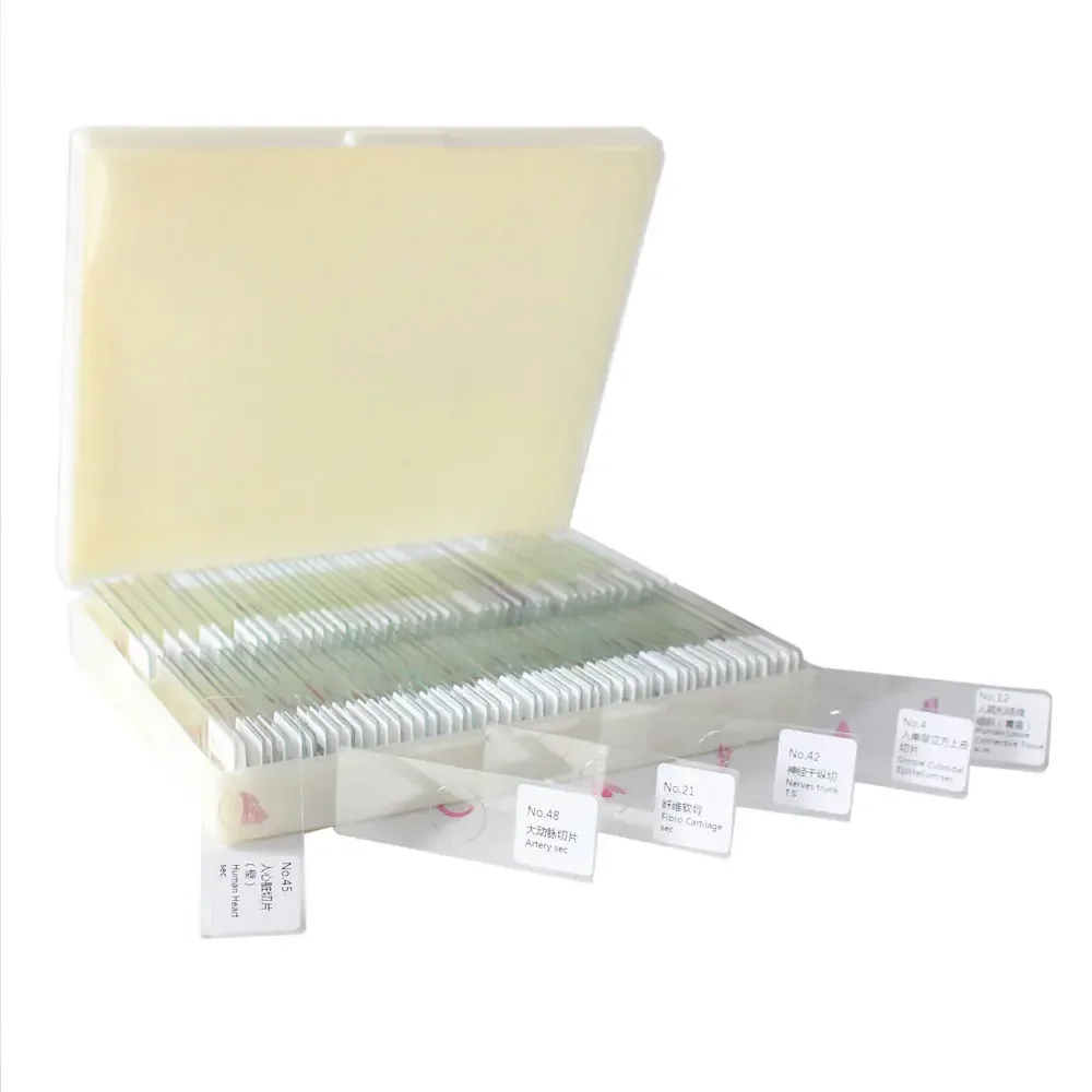 100 PCS Professional Medical Study Prepared Paraffin Section Hematoxylin-Eosin HE Staining Histological Slice Microscope Slides