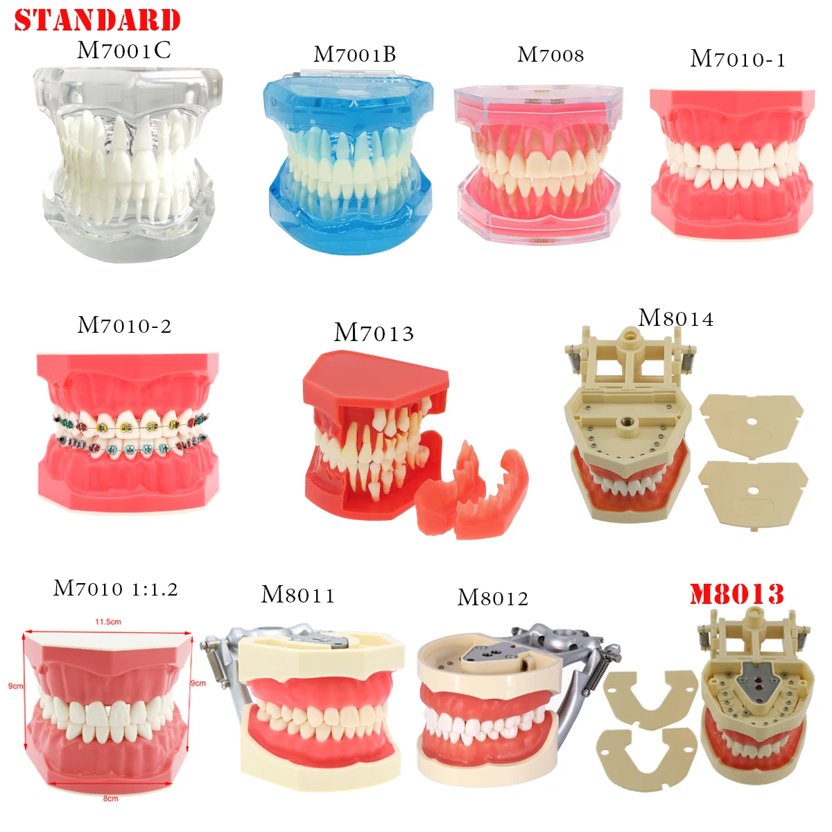 Modelos dentales de varios tipos, modelo de enseñanza Dental para entrenamiento, estudiar implante de ortodoncia, material de odontología