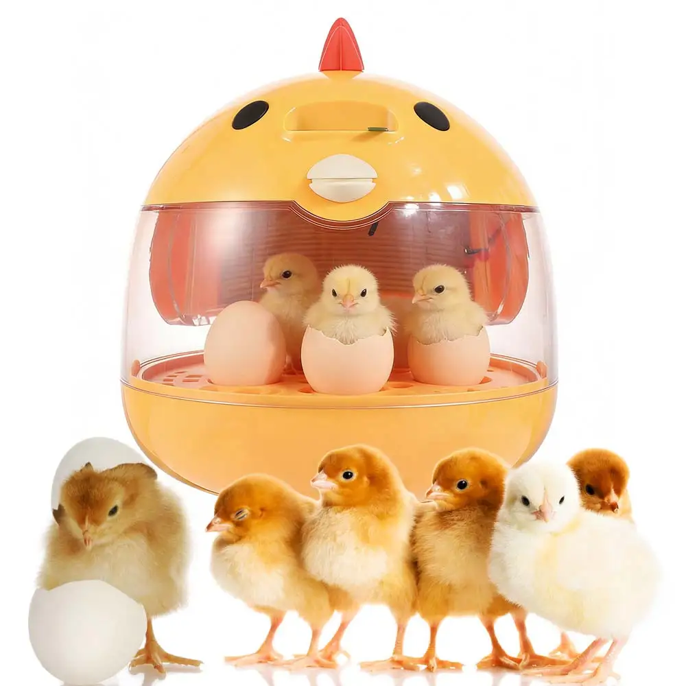 Transparent Window Eggs Incubator Automatic Temperature Control Low Noise Eggs Hatcher Machine Sturdy Humidity Control